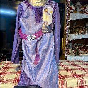 Disney Wish Princess dress up costume